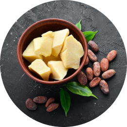 Cocoa Butter, Glycerin & Urea