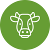 Milk Is Our Signature Ingredient