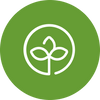 Plant-Based Actives